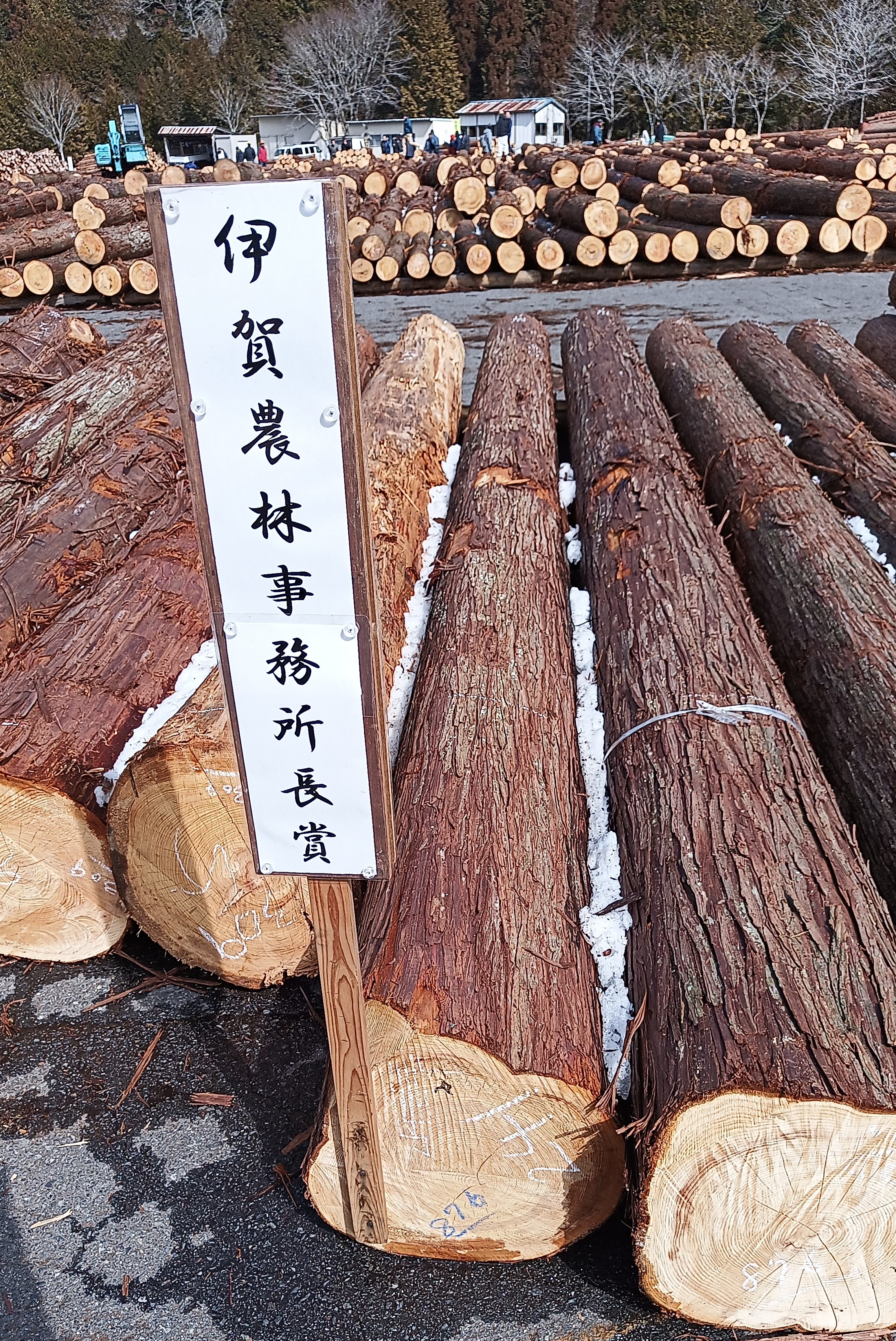 優良原木（伊賀農林事務所長賞）