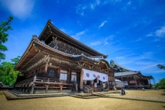 高田本山専修寺（国宝如来堂、御影堂）