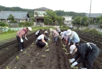 中央揃え